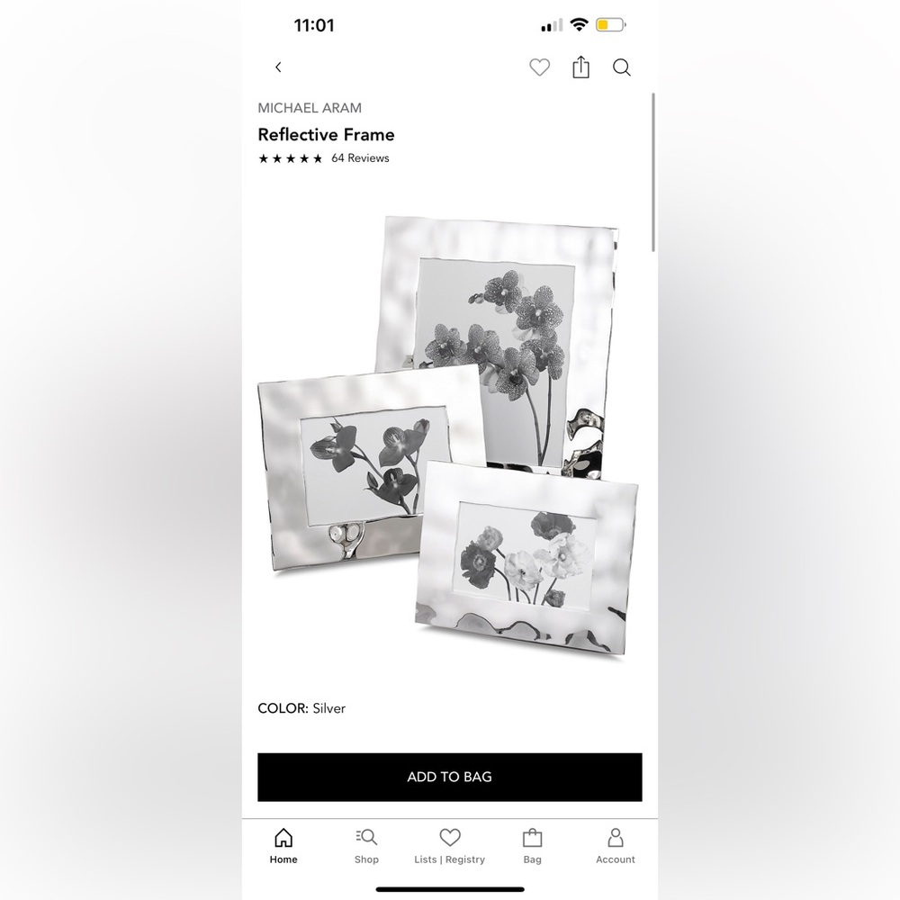 Micheal aram reflective frame size 8x10